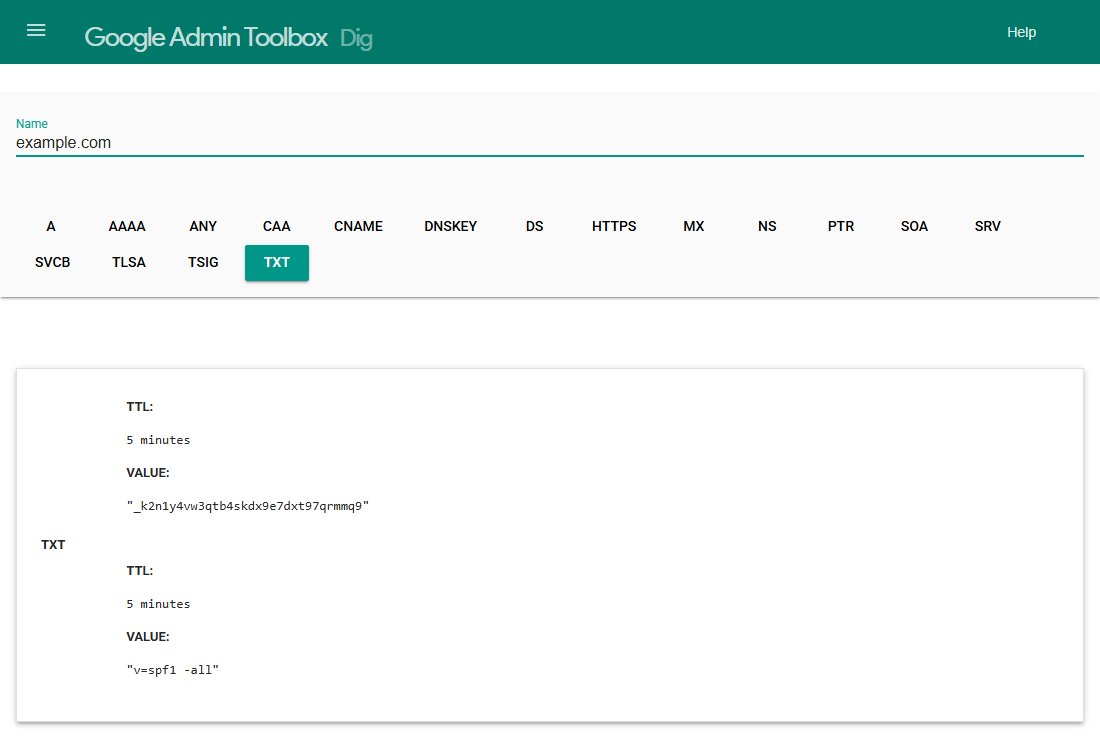 Google Admin Toolbox Dig, with example.com entered and TXT selected. Two TXT records are shown: a token beginning with an underscore, and a value starting v=spf1.