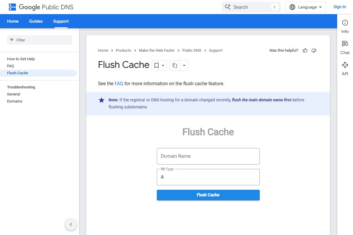 The Google Public DNS Flush Cache page, with a box for a domain name, a record type set to A, and a Flush Cache button. A note says to flush the main domain first if the registrar or DNS hosting changed.